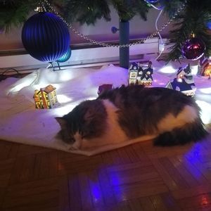 Meet your Posher, Chantal